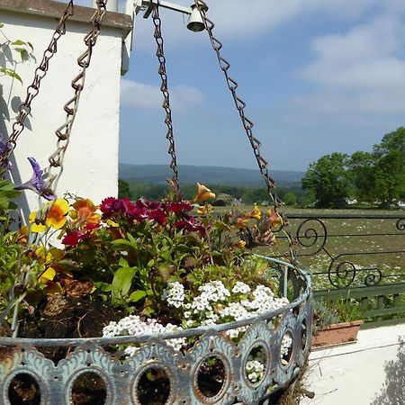 Dean Valley Panorama Bed & Breakfast Lydney Kültér fotó