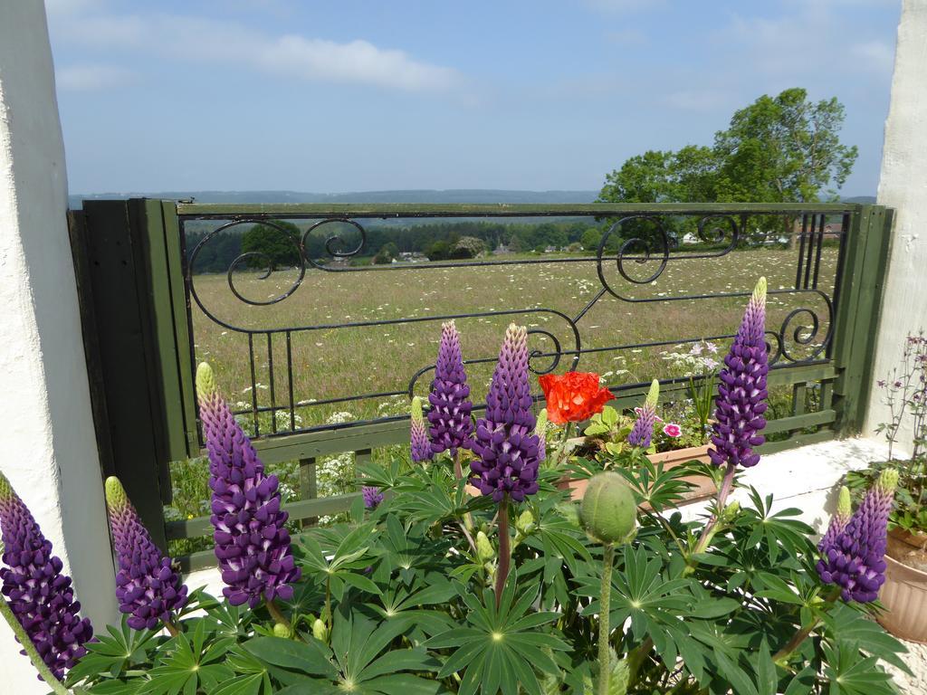 Dean Valley Panorama Bed & Breakfast Lydney Kültér fotó