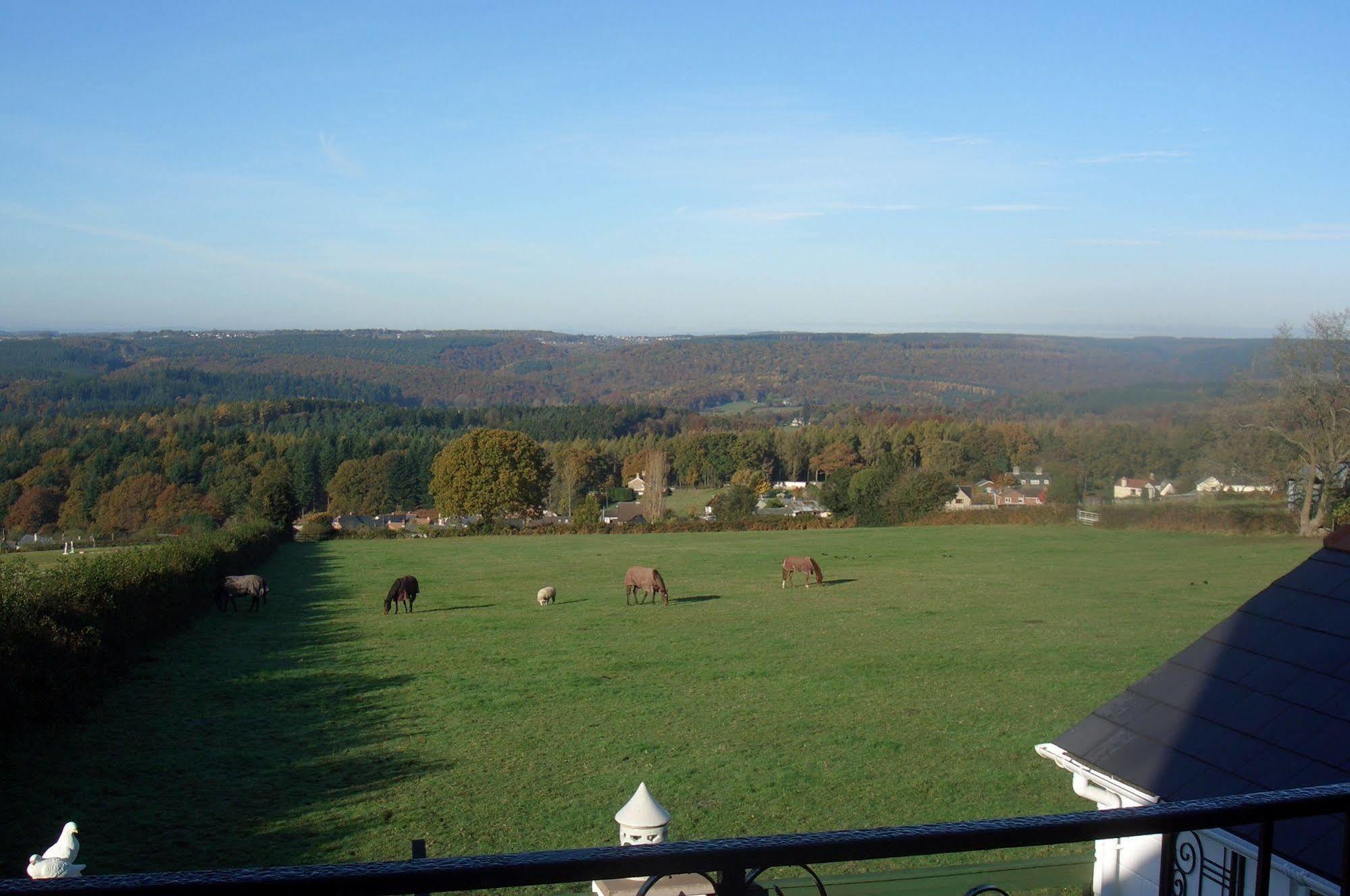 Dean Valley Panorama Bed & Breakfast Lydney Kültér fotó
